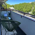 Festungsblick Am Rhein - Panorama Coblence