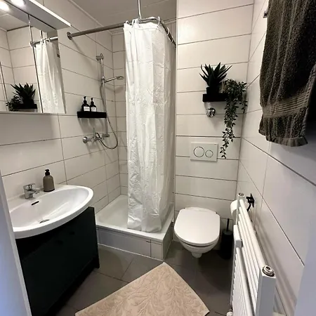 Festungsblick Am Rhein - Panorama