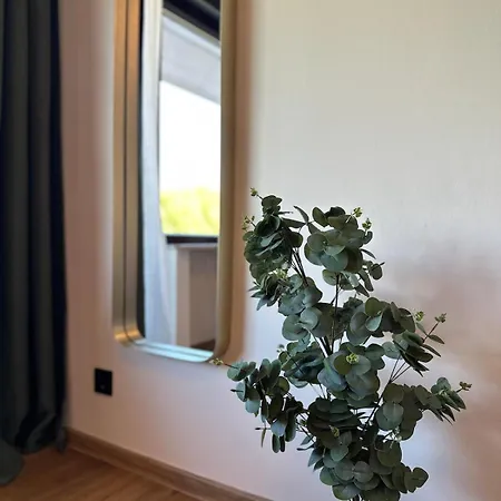 Festungsblick Am Rhein - Panorama Апартаменты *