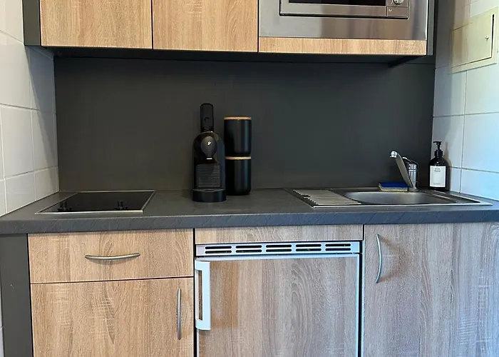 Lägenhet Festungsblick Am Rhein - Panorama *